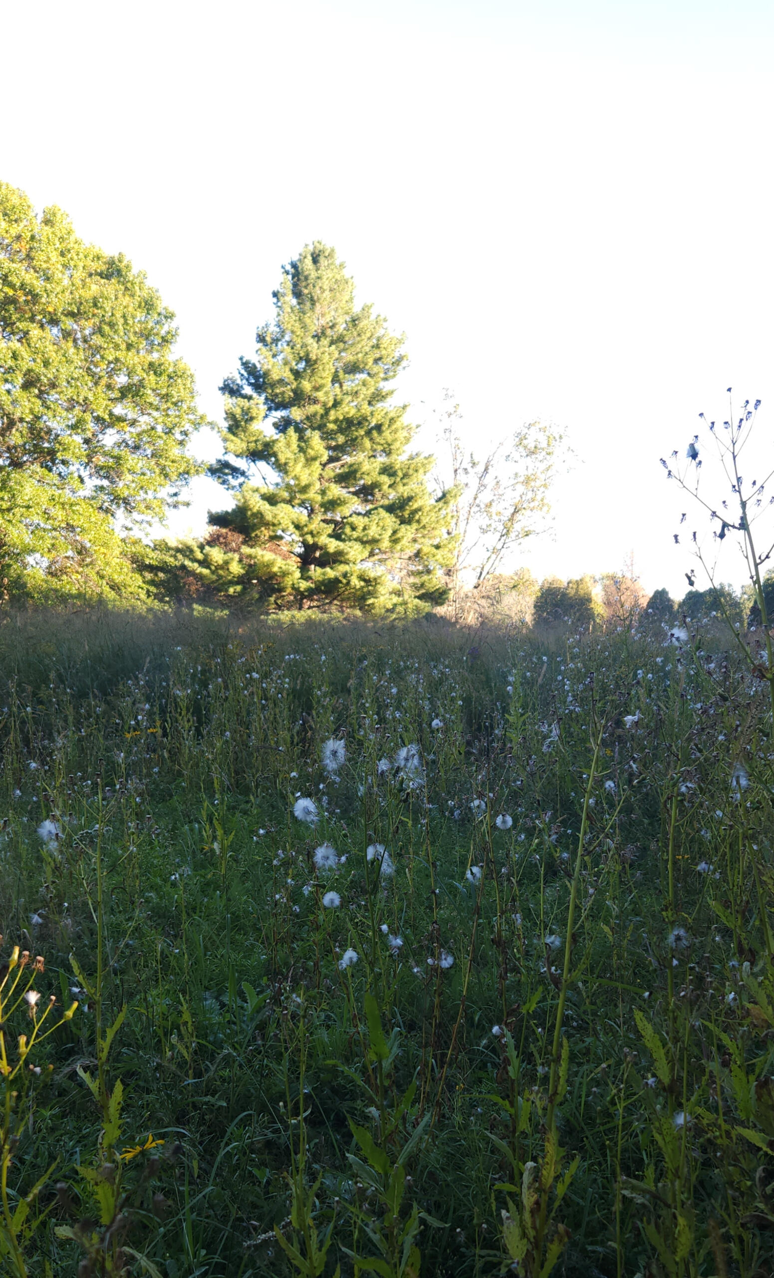 Orchard Beach State Park Loop